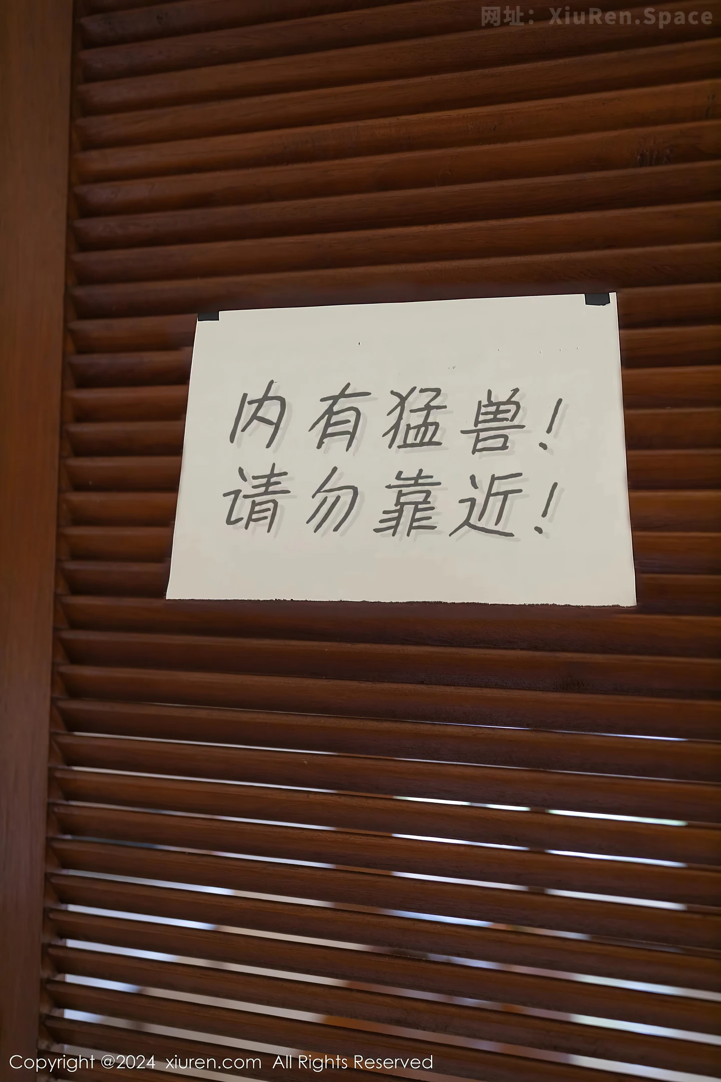 图片[2]-[XiuRen秀人网]VOL.8029 模特幼幼野兽装扮性感薄纱服饰配白丝网袜秀惹火身材诱惑写真80P-秀人网官方网站